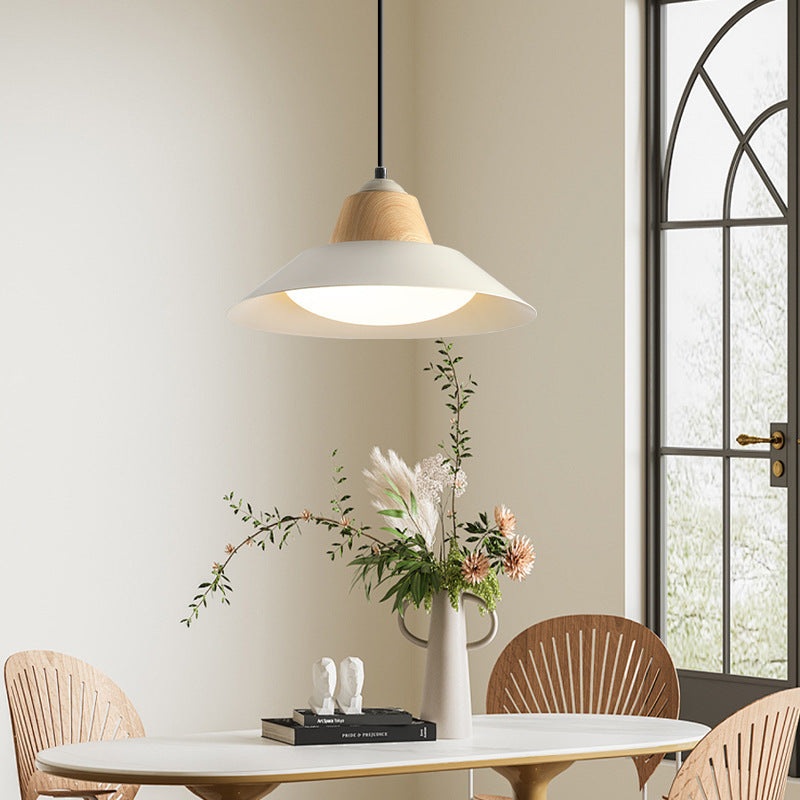 Contemporary Nordic Round Iron 1-Light Pendant Light For Living Room