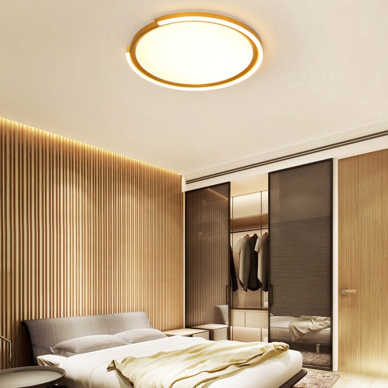Modern Minimalist Disc Iron Acrylic Aluminum LED Flush Mount Ceiling Light