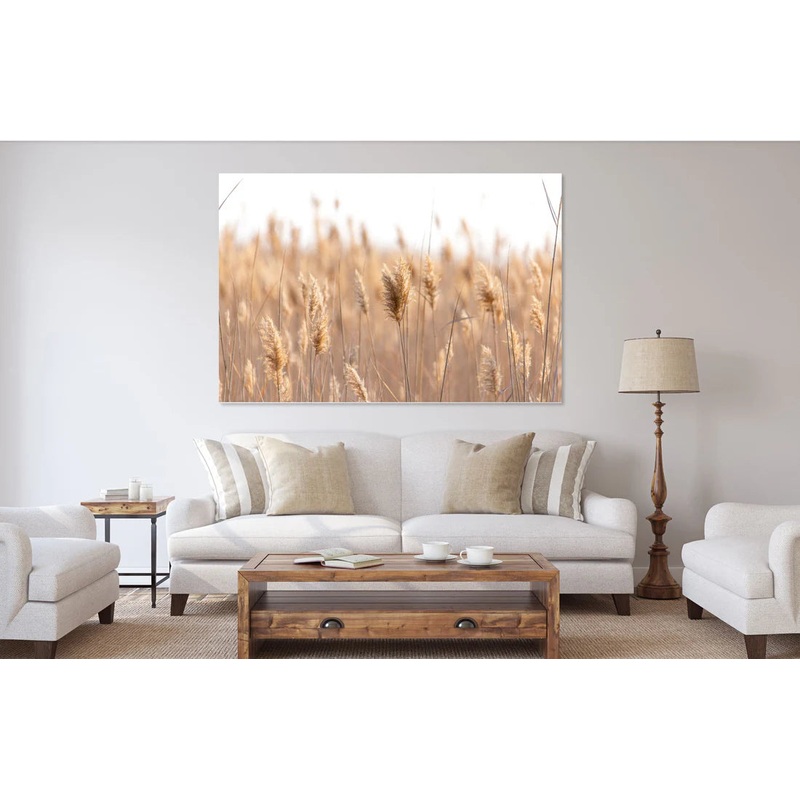 Stunning Faded Beige grass 90x60cm Print 100% Australian Made