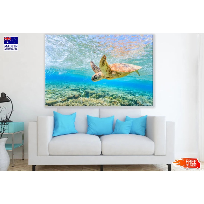 Turtle in Sea Photograph 90x60cm Print 100% Australian Made