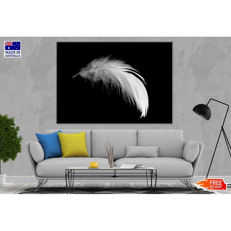 White Feather Closeup B&W View Photograph 90x60cm Print 100% Australian Made