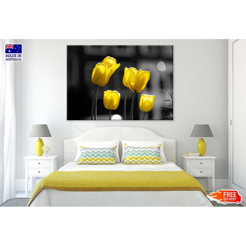 Yellow Tulip Flowers B&W View Photograph 90x60cm Print 100% Australian Made