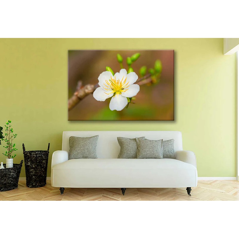 Apricot Blossom Flowers Bloom 90x60cm Print 100% Australian Made