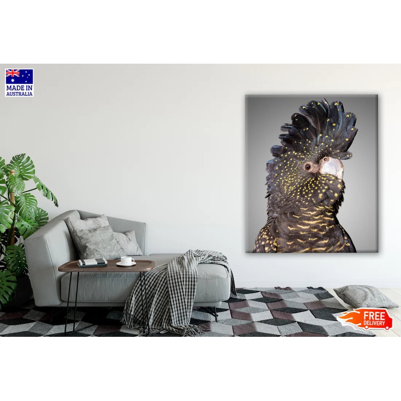 Australian Native Red Tailed Black Cockatoo Portrait Photograph 60x90cm Print 100% Australian Made