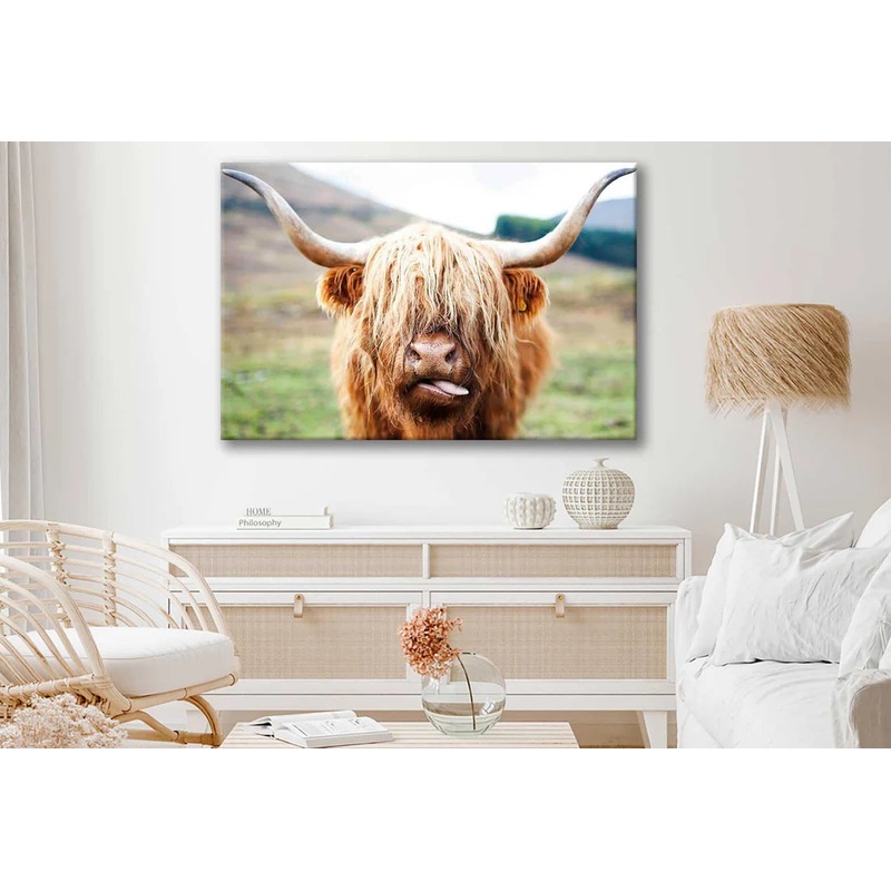 Bella Home Highland Cow Face Closeup 90x60cm Print 100% Australian Made