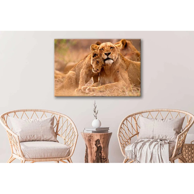 Bella Home Lioness & Cub in The Kruger 90x60cm Print 100% Australian Made
