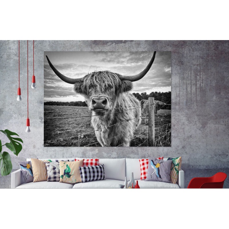 Black and White Highland Cow Popular 90x60cm Print 100% Australian Made