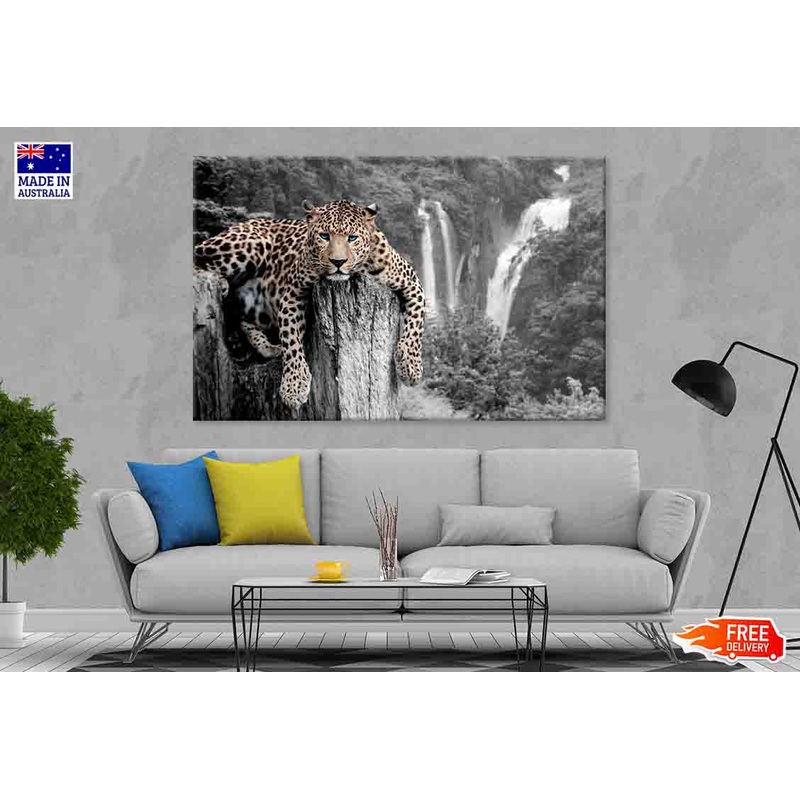 Black and White Tiger with Blue Eyes 90x60cm Print 100% Australian Made (Copy)