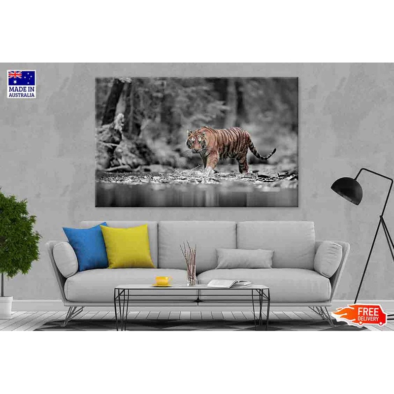 Blue Eye Tiger at Forested River 90x60cm Print 100% Australian Made