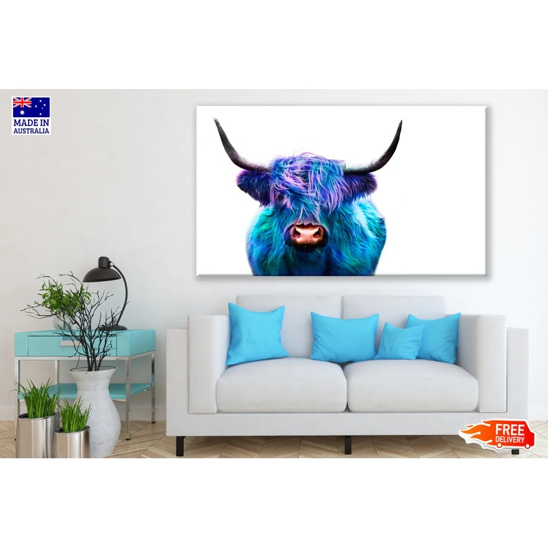 Blue Purple Highland Cow Photograph 90x60cm Print 100% Australian Made