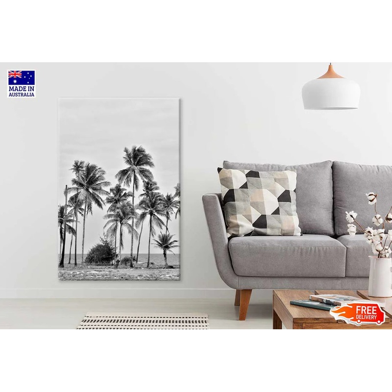 Coconut Palm Trees near Sea B&W Photograph 60x90cm Print 100% Australian Made