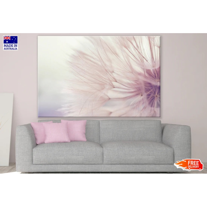 Dandelion Flower Closeup Photograph 90x60cm Print 100% Australian Made