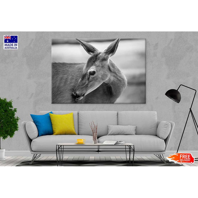 Deer Face B&W View Photograph 90x60cm Print 100% Australian Made