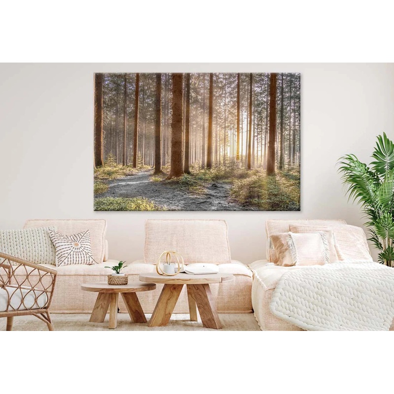 Forest with Shining Sun Rays 90x60cm Print 100% Australian Made
