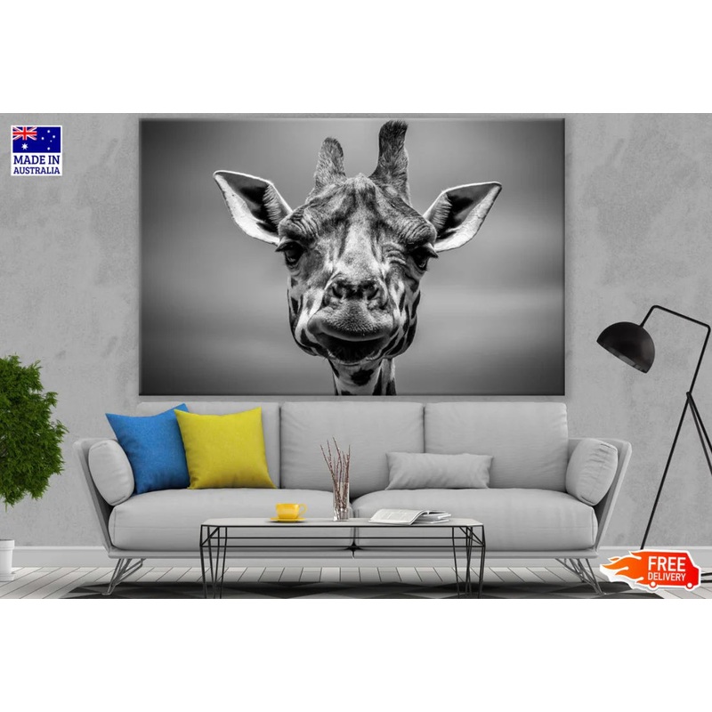 Giraffe Portrait B&W Photograph 90x60cm Print 100% Australian Made