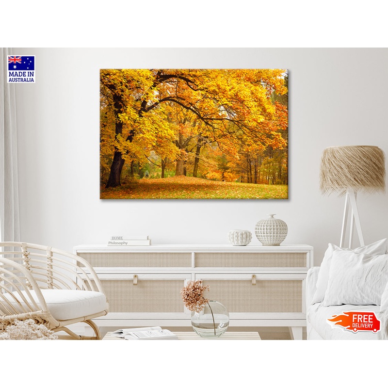 Gold Trees in a Park in Autumn 90x60cm Print 100% Australian Made