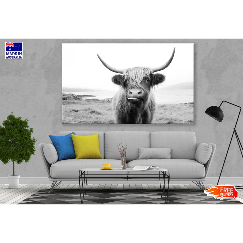 Highland Cow Black & White Landscape 90x60cm Print 100% Australian Made
