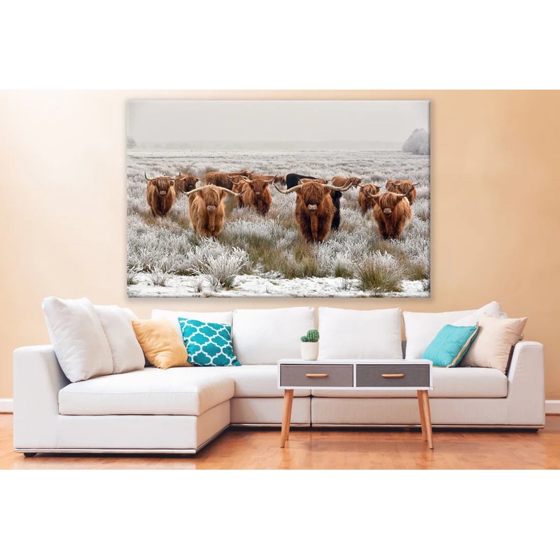 Highland Cow herd Photograph 90x60cm Print 100% Australian Made