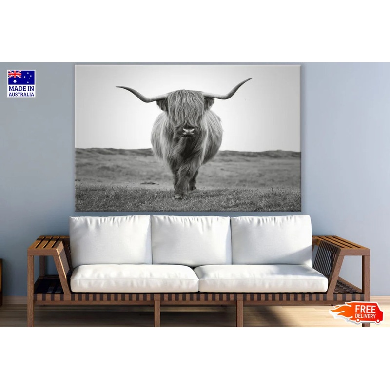 Highland Cow Landscape B&W View 90x60cm Print 100% Australian Made