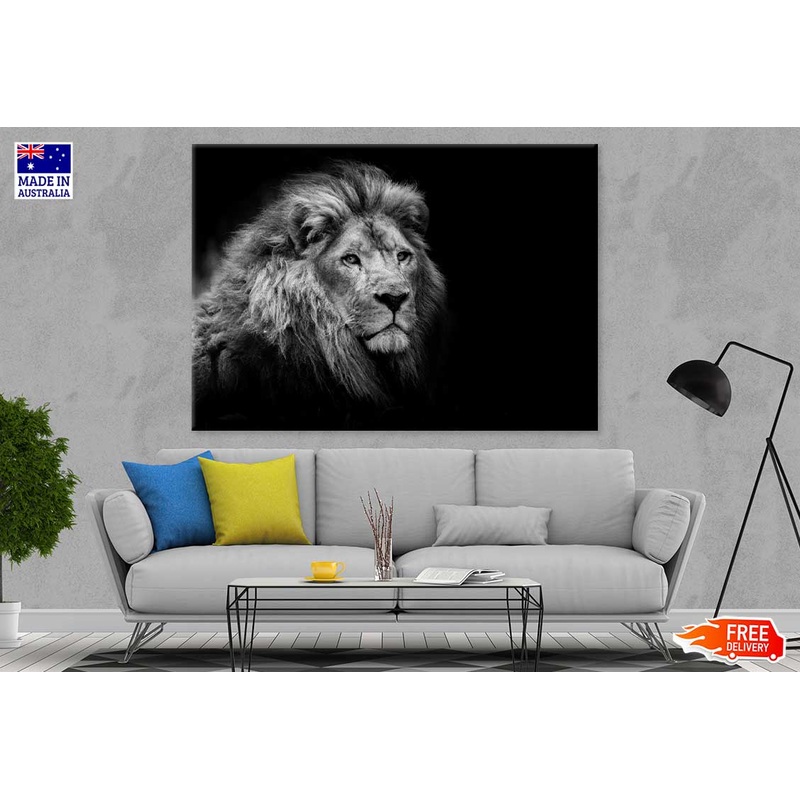 Lion on Dark B&W Photograph 90x60cm Print 100% Australian Made