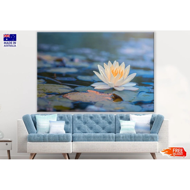 Lotus Flower on Water Photograph 90x60cm Print 100% Australian Made