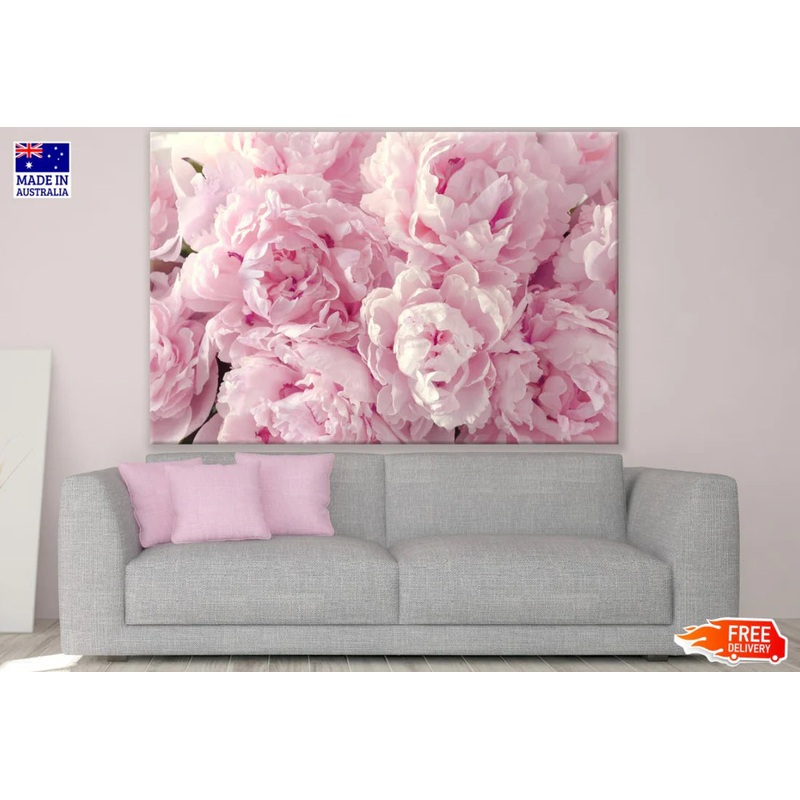 Pink Peonies Closeup Photograph 90x60cm Print 100% Australian Made