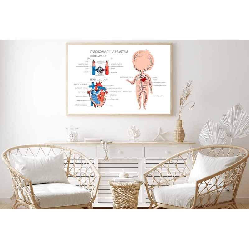 Blood Circulatory System in Kid Body Home Decor Premium Quality Poster Print Choose Your Sizes