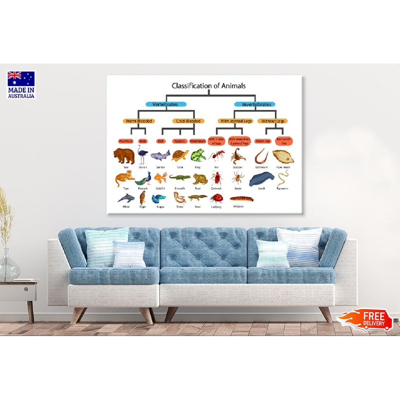 Chart of Biology Animals Diagram Vector Art Print 100% Australian Made