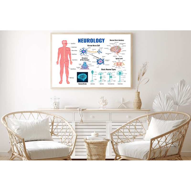 Neurology And Human Brain Set Illustration Home Decor Premium Quality Poster Print Choose Your Sizes