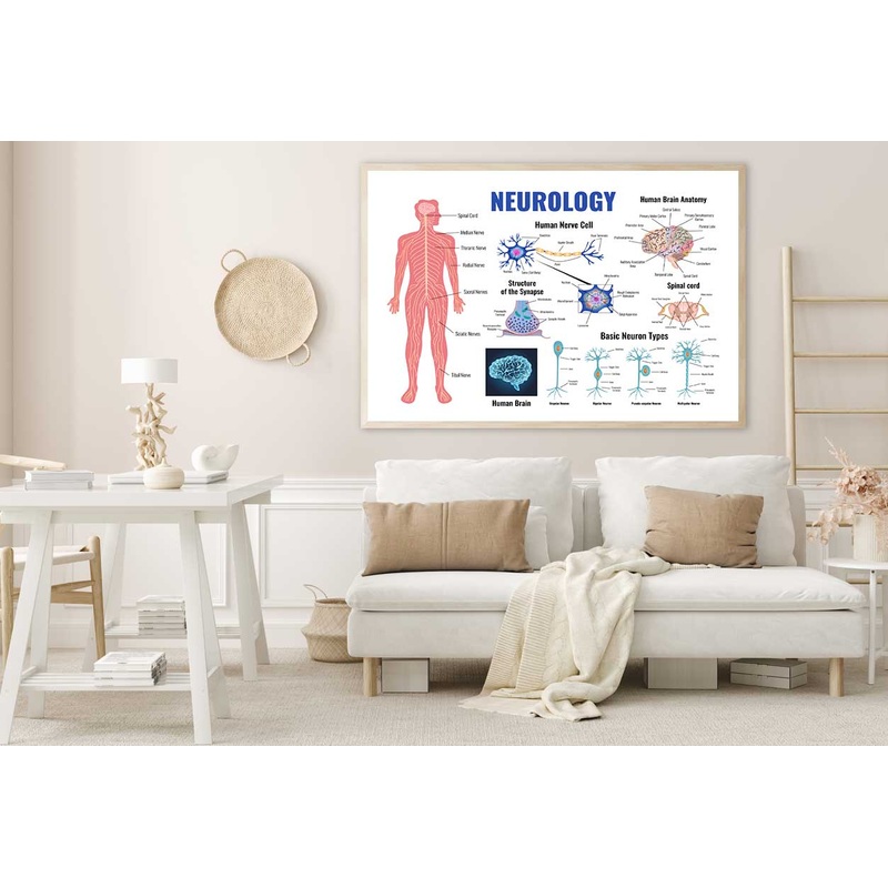 Neurology Parts of Human Body Home Decor Premium Quality Poster Print Choose Your Sizes