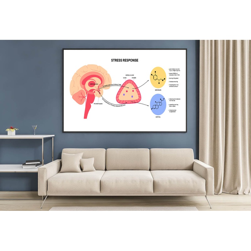 Stress Response System Home Decor Premium Quality Poster Print Choose Your Sizes