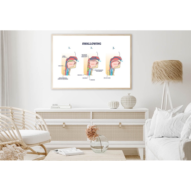 Swallowing Process Explanation Home Decor Premium Quality Poster Print Choose Your Sizes
