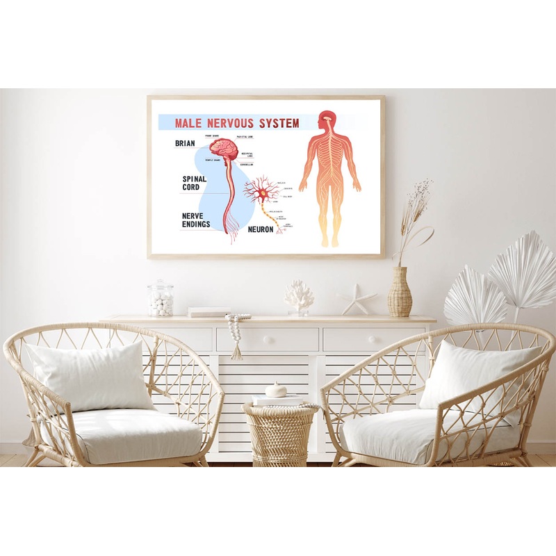 System Educational Scheme Home Decor Premium Quality Poster Print Choose Your Sizes