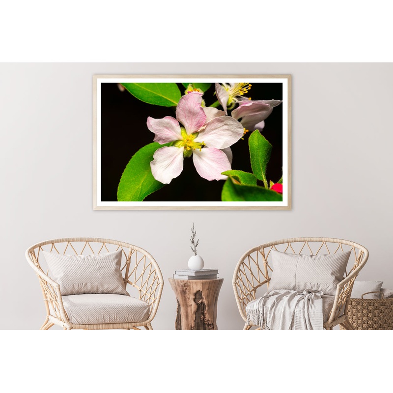 Beautiful Bloomed Apple Flowers Home Decor Premium Quality Poster Print Choose Your Sizes