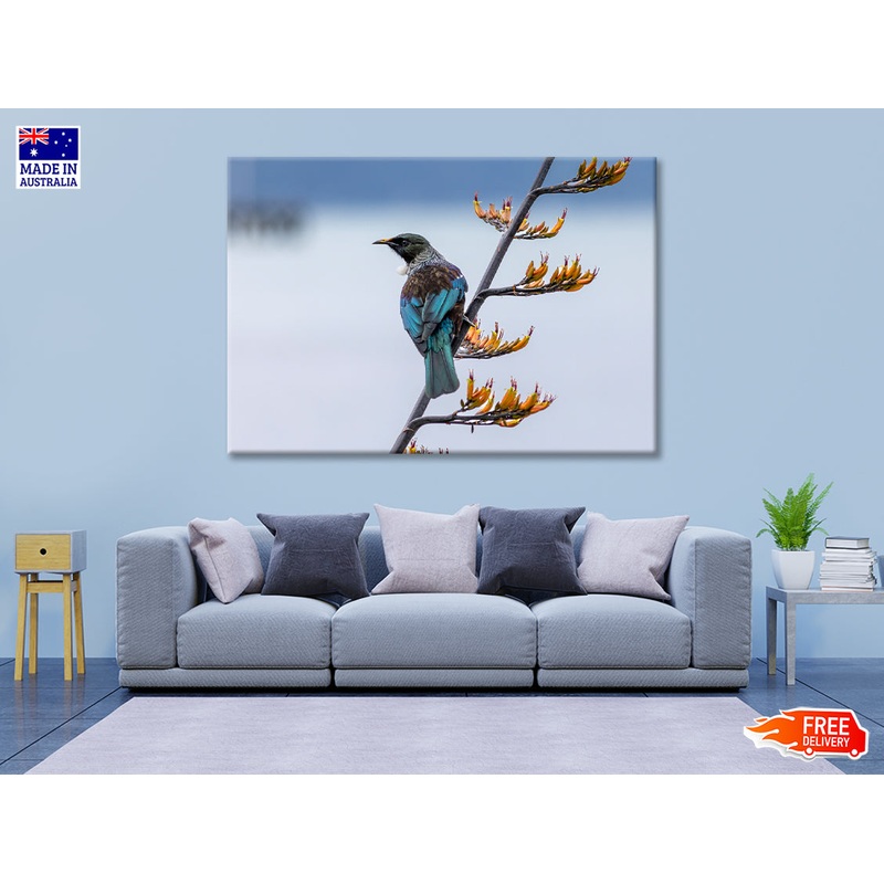 Tui Bird on New Zealand Flax Tree Print 100% Australian Made
