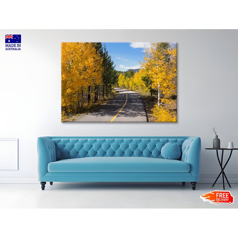 Yellow Aspens Trees in Colorado Print 100% Australian Made