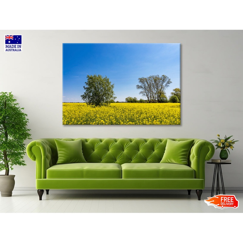 Yellow Canola Field with Trees Print 100% Australian Made