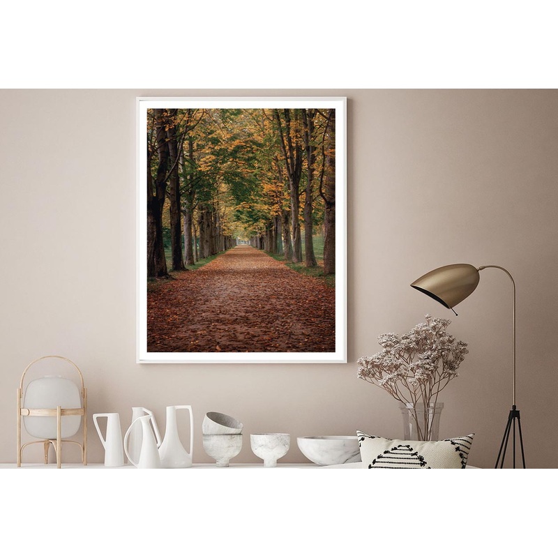 Avenue Covered by Fall Leaves in Pilnitz Park, Dresden, Germany Home Decor Premium Quality Poster Print Choose Your Sizes