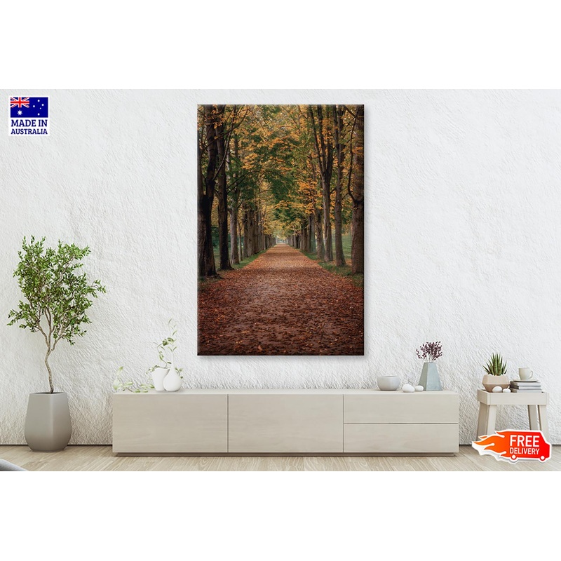 Avenue Covered by Fall Leaves in Pilnitz Park, Dresden, Germany Wall Art Decor 100% Australian Made