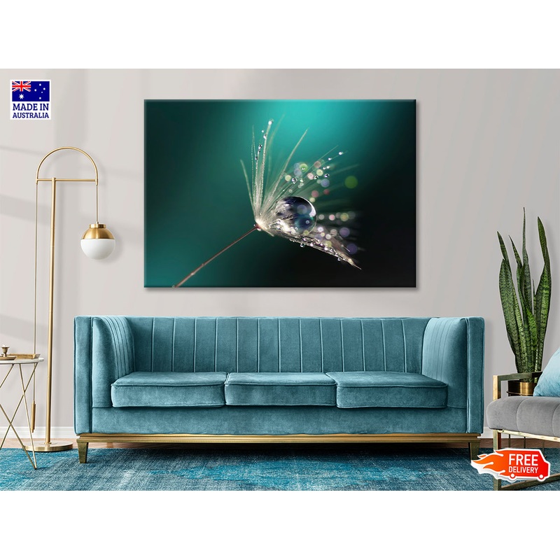 Water Droplet on Common Dandelion Print 100% Australian Made
