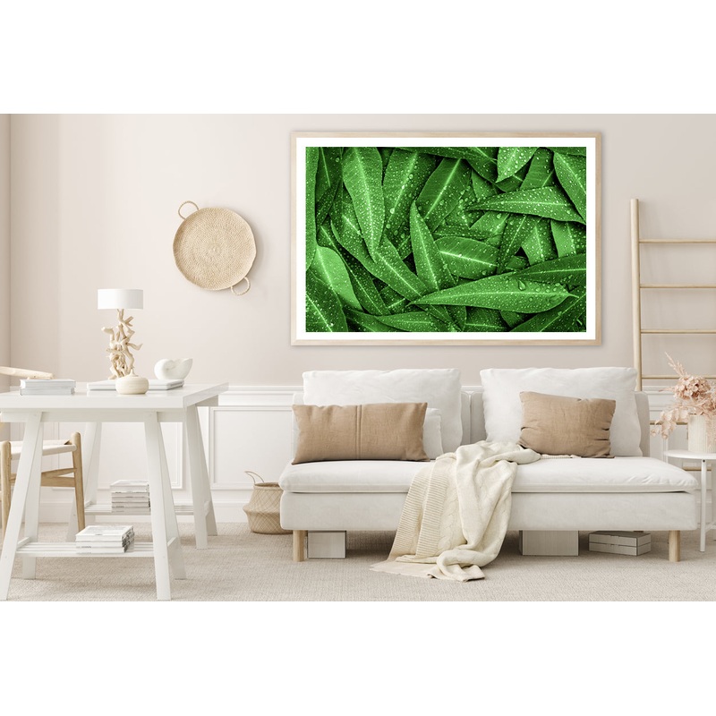 Water Droplets on Bunch of Leaves Home Decor Premium Quality Poster Print Choose Your Sizes