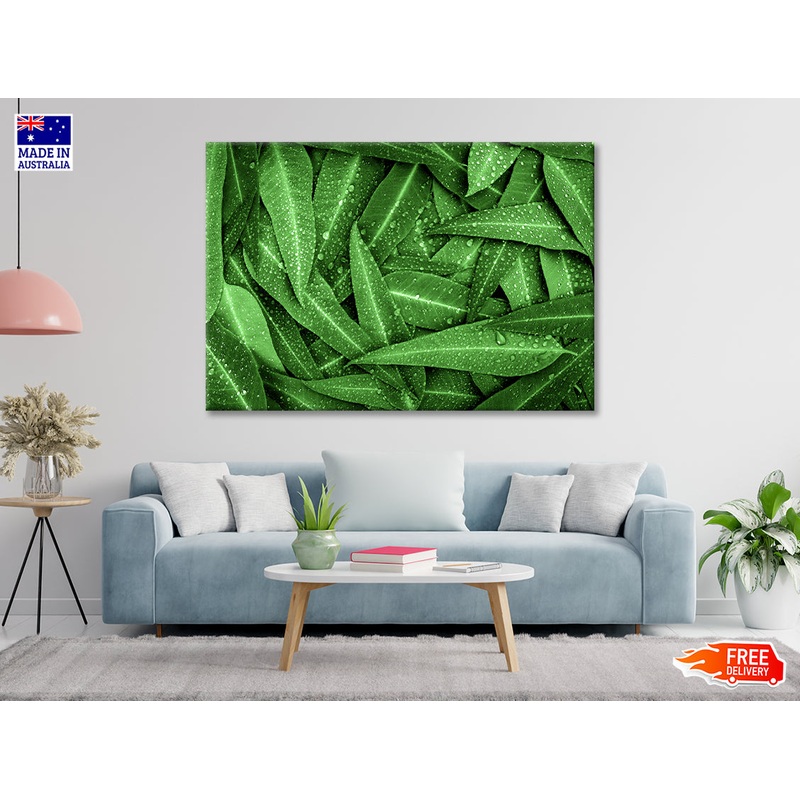 Water Droplets on Bunch of Leaves Print 100% Australian Made