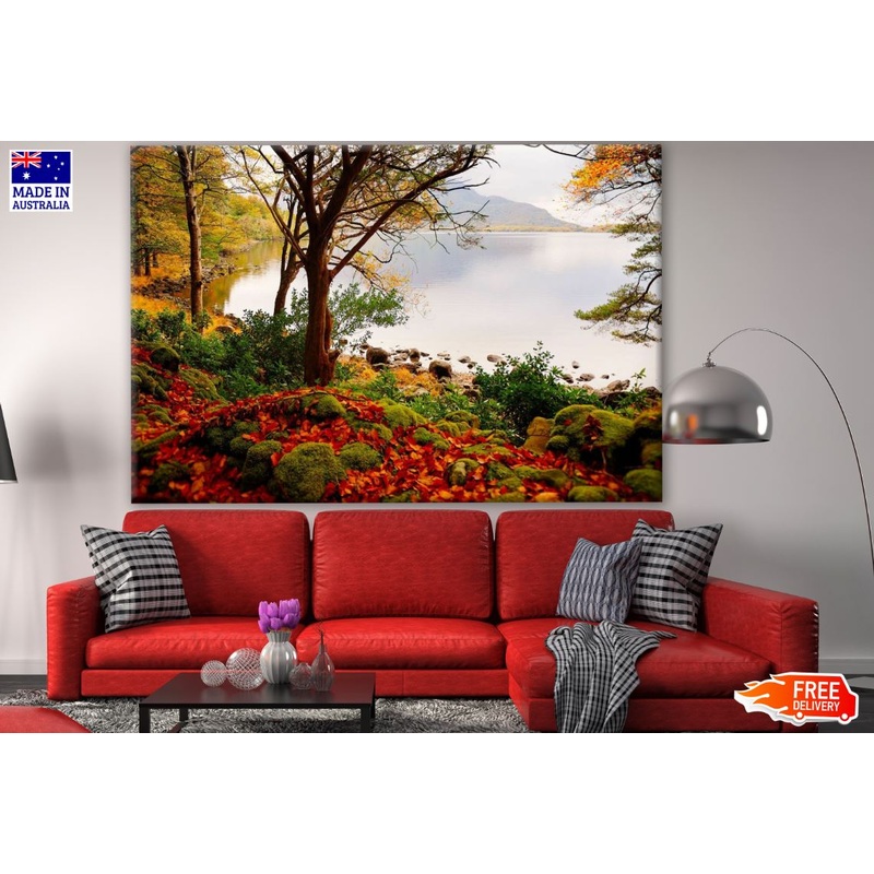 Autumn Forest Near Lake Photograph Print 100% Australian Made