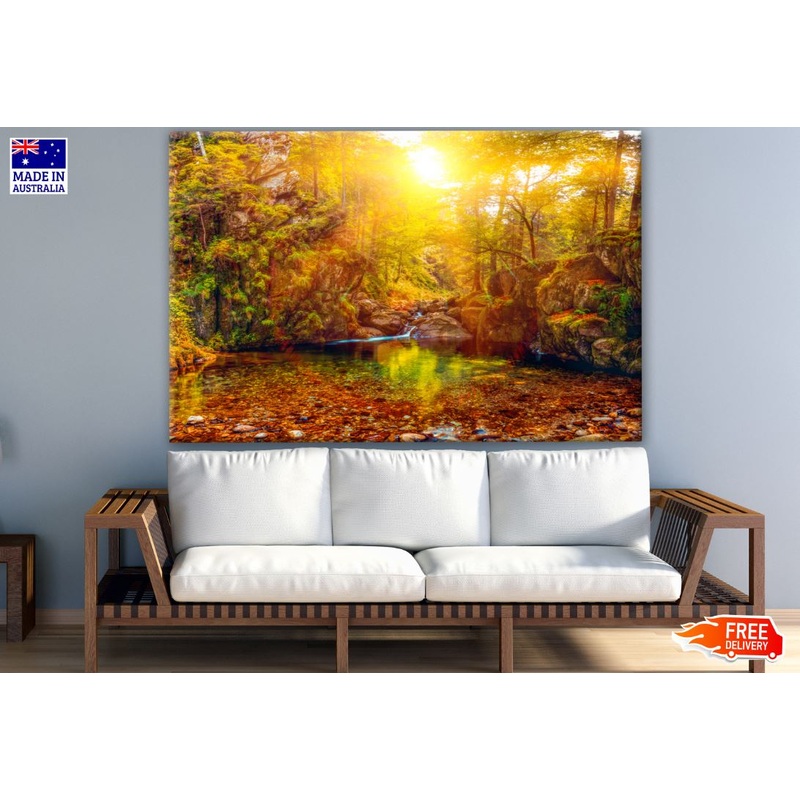 Autumn Forest Photograph Print 100% Australian Made