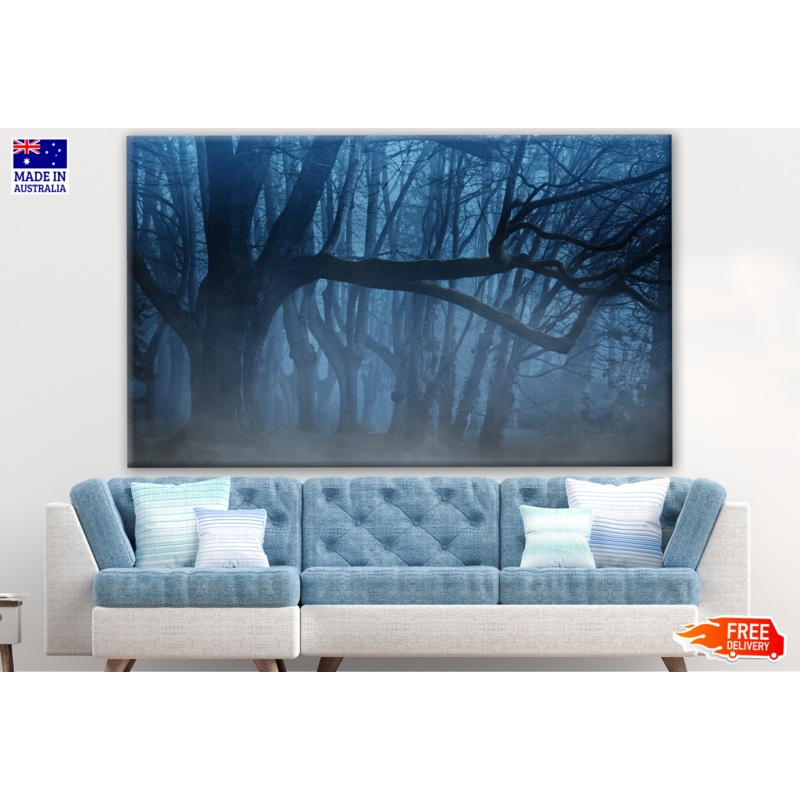 Tree in a Misty Forest Photograph Print 100% Australian Made