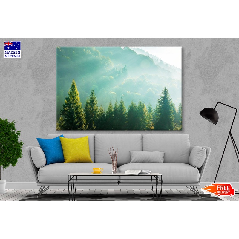 Wonderful Nature Background with Sunlight Wall Art Decor 100% Australian Made