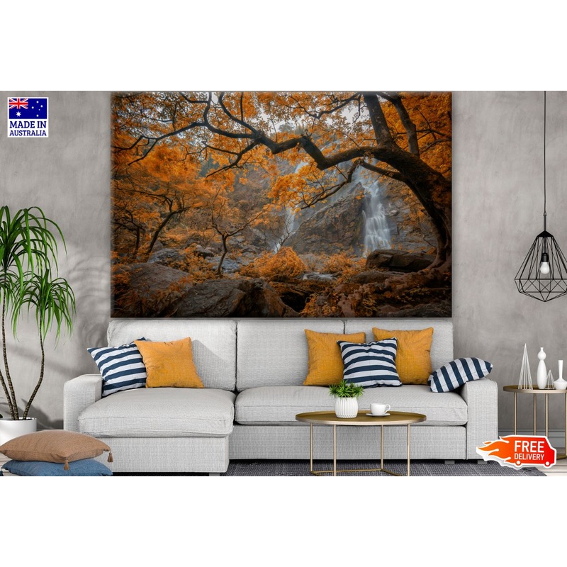Autumn Tree Forest Photograph Print 100% Australian Made