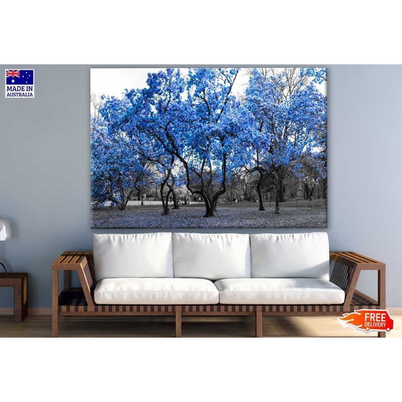 B&W Trees with Blue Leaves Print 100% Australian Made