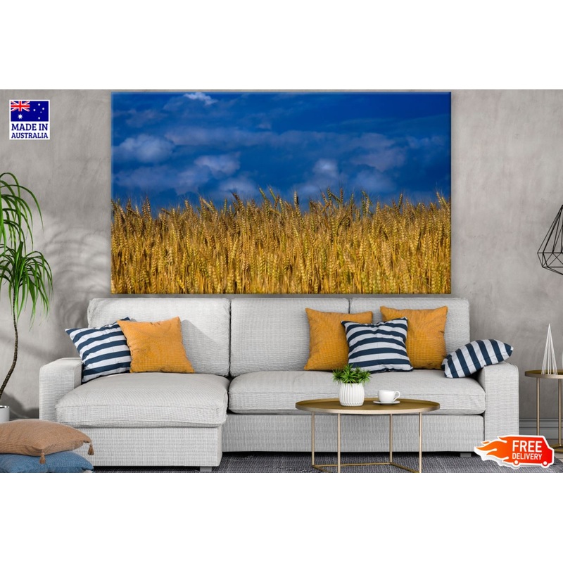 Wheat Field Photograph Print 100% Australian Made