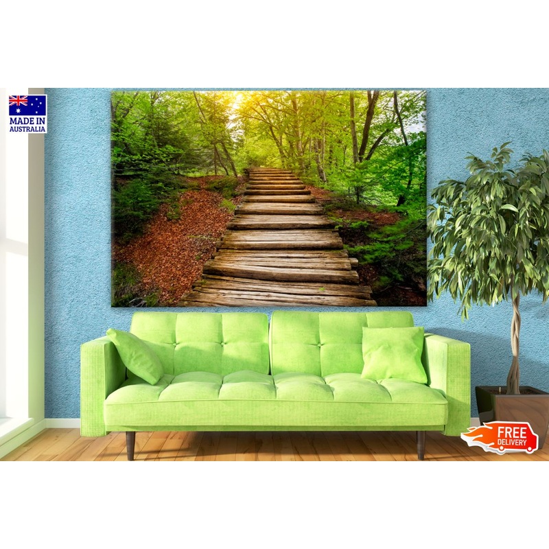 Wood Path in Deep Forest Photograph Print 100% Australian Made
